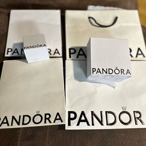 Pandora boxes and bags (Empty)